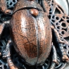 talisman scarabée cuivre dentelle bijou protection insecte