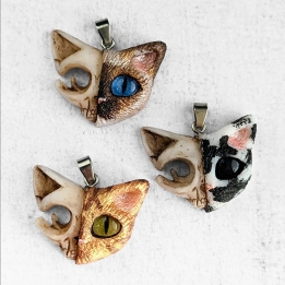 Chat de Schrödinger