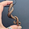 Tentacules enlacées