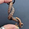Tentacules enlacées