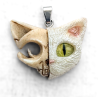 Chat de Schrödinger