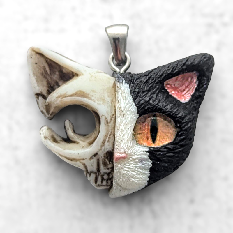 Chat de Schrödinger