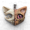 Chat de Schrödinger